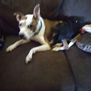 Meet your Posher, Jolene